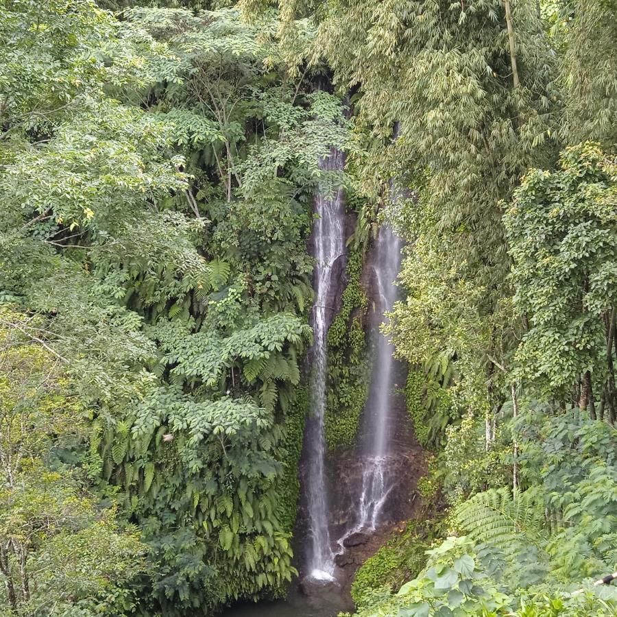 Munduk Tutub Waterfall View Kültér fotó