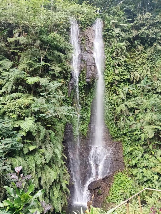Munduk Tutub Waterfall View Kültér fotó
