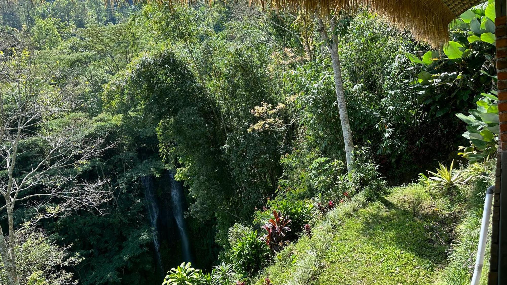 Munduk Tutub Waterfall View Kültér fotó
